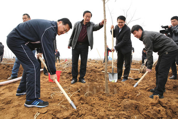 我為家園添新綠 