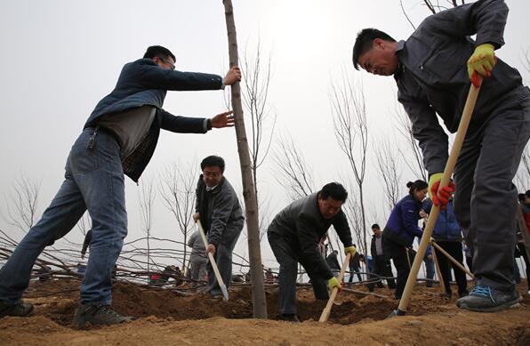 我為家園添新綠 