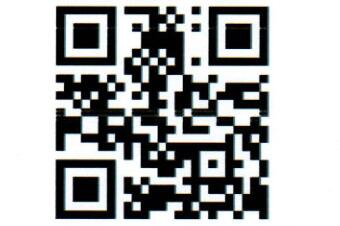 戰疫情促發展“一站通”